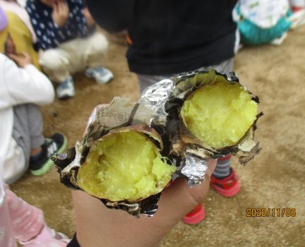 やきいも大会‼