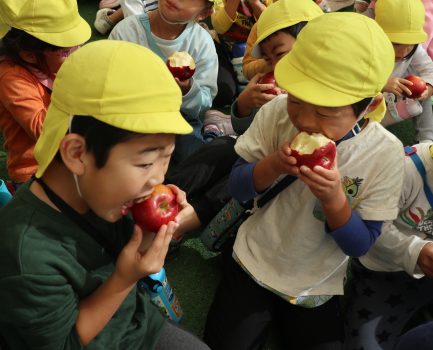 りんごまるかじり🍎